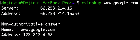 browser work nslookup 1